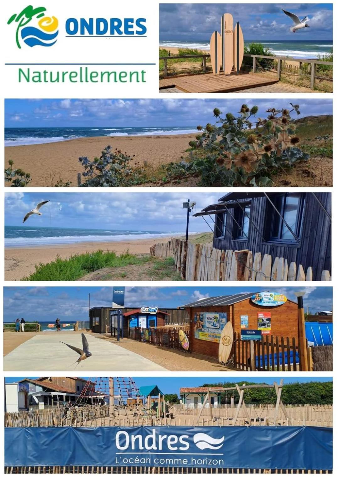 Chalet T3 Nature Piscine Tennis 온드라스 외부 사진